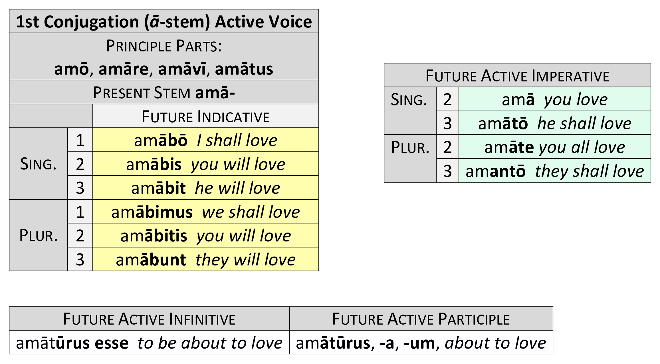 1ST CONJUGATION.