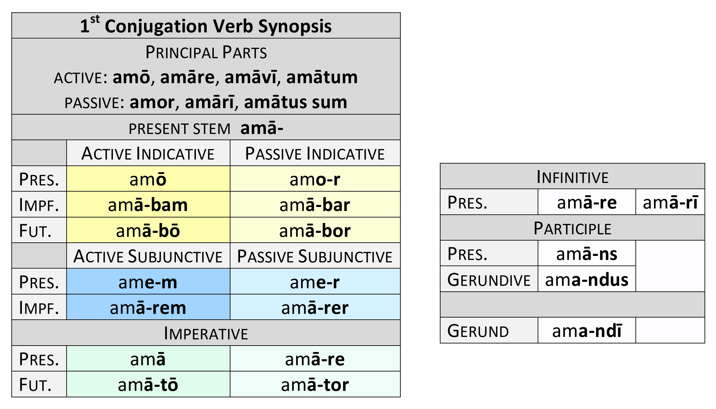 a regular verb of the 1st conjugation, arranged according to the three stem...