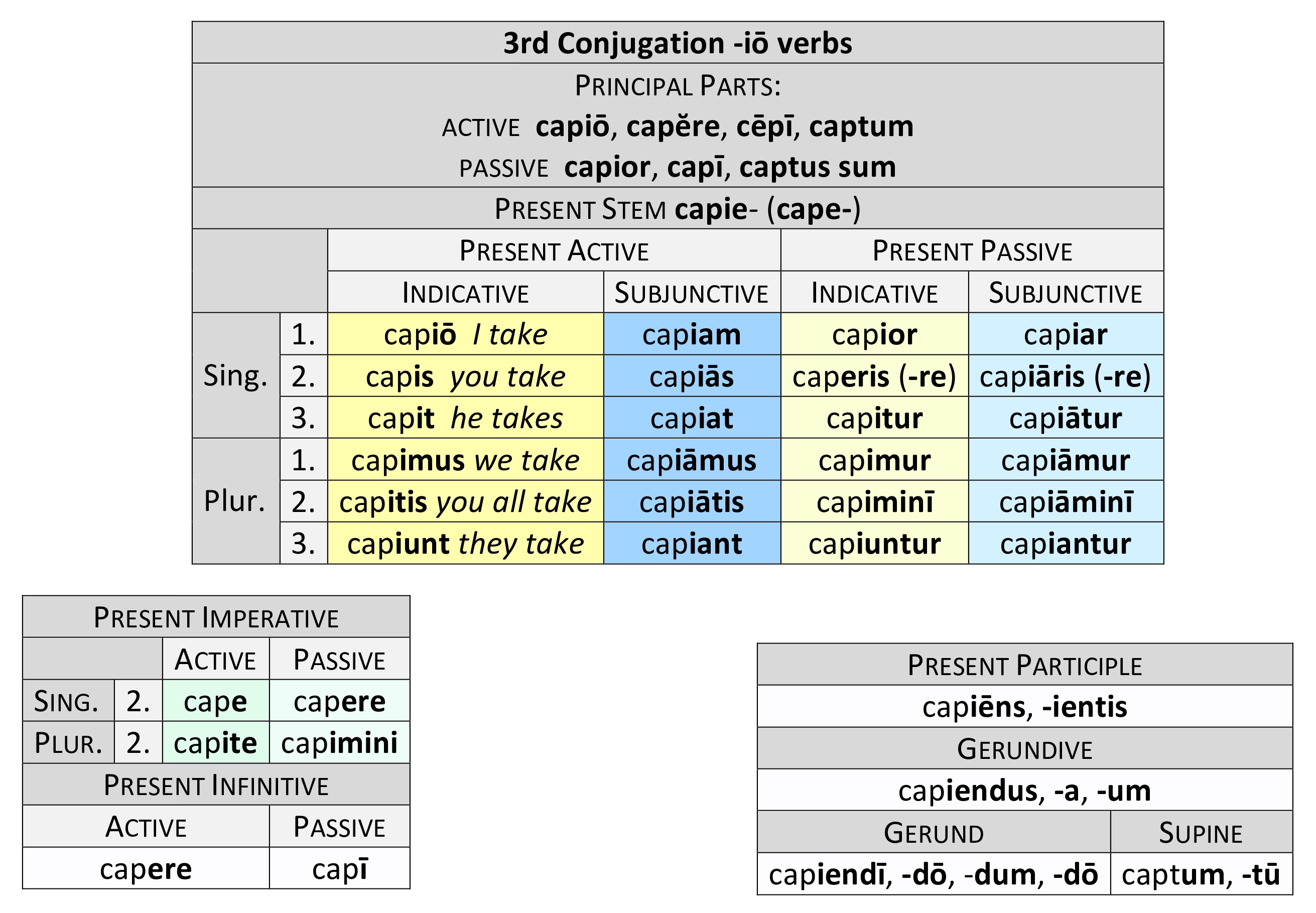 3rd Conjugation in -iō Present paradigm.