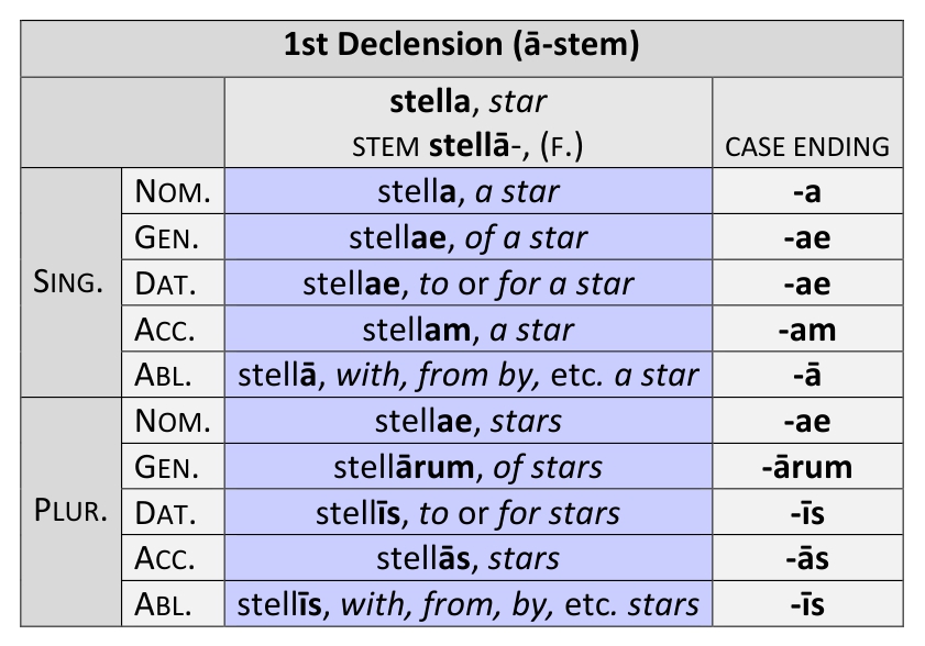 Declension German Slawe - All cases of the noun, plural, article