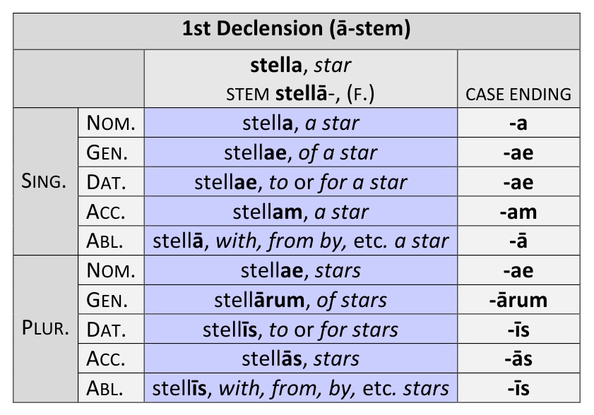 New Latin Grammar