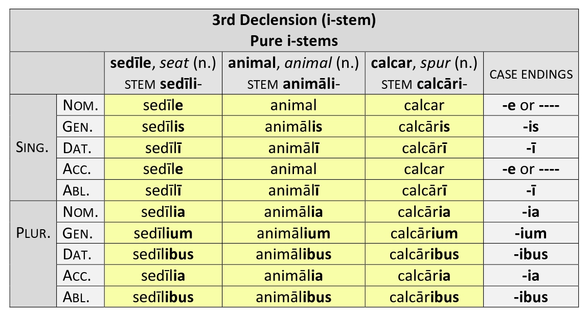 New Latin Grammar